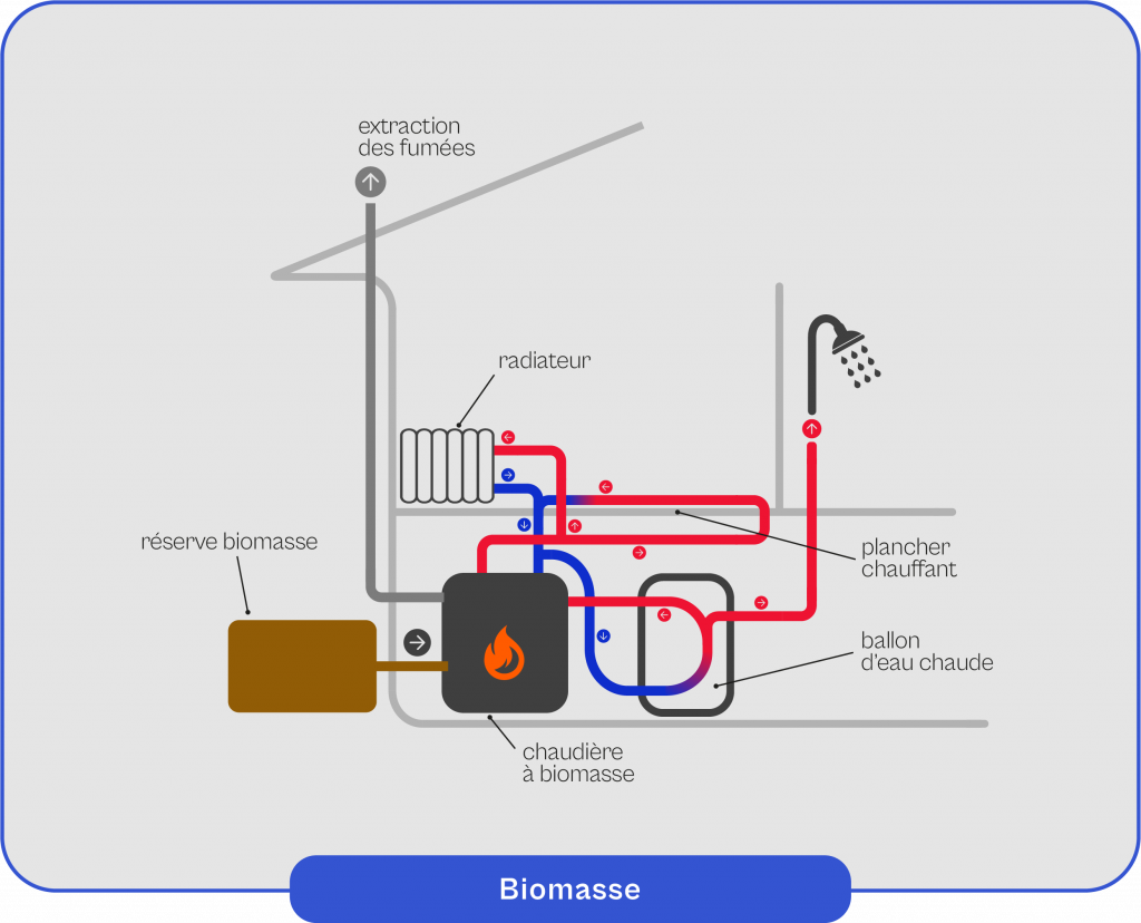 Schéma explicatif du fonctionnement de la biomasse